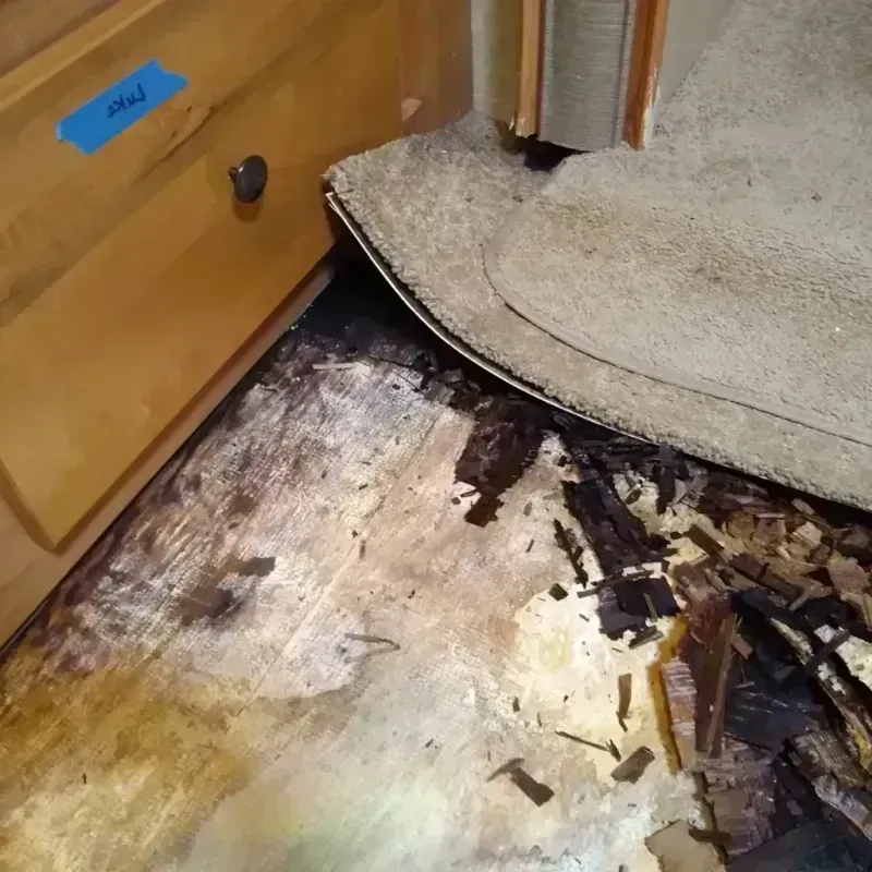 Wood Floor Water Damage in Carroll County, GA